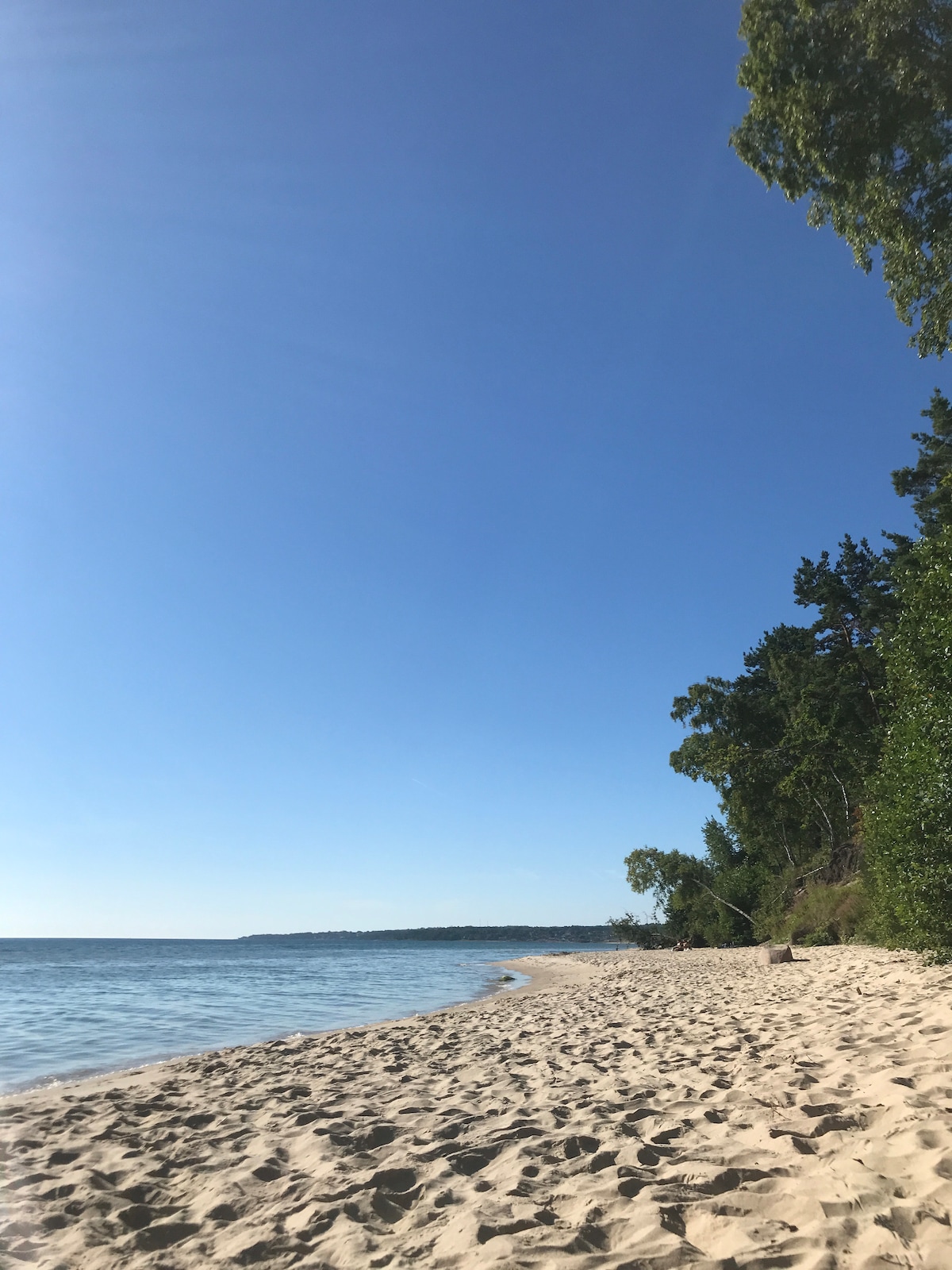 A sandy beach stretches along the shoreline, meeting calm blue waters under a clear sky. Lush greenery lines the edge of the beach, providing shade and a natural backdrop. The scene conveys a sense of tranquility and openness, inviting relaxation.