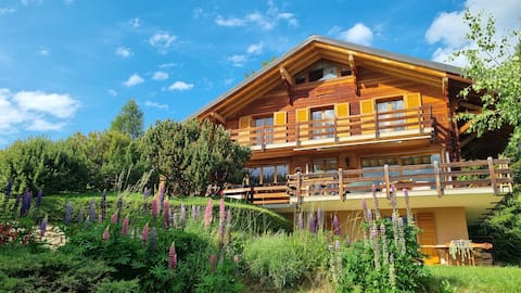 Charming family chalet,beautiful view, big garden