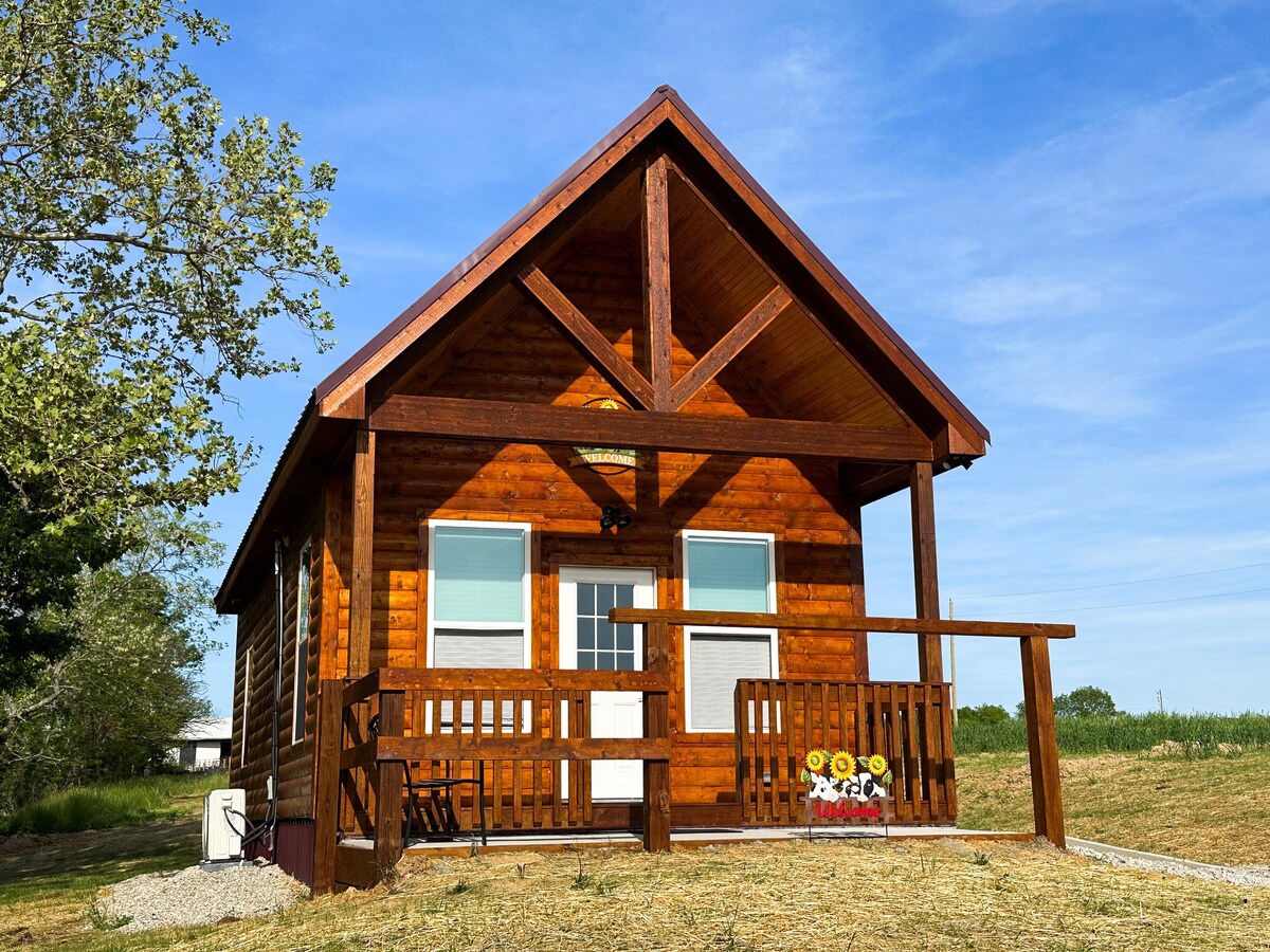 Cabin on Dairy FarmNear Ark (See Calves & Goats) Cabins for Rent in