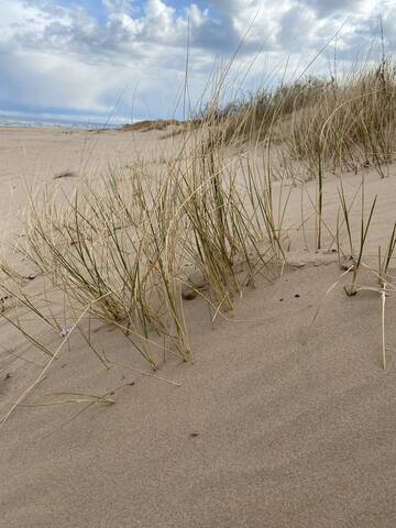 Waterfront in peaceful Bulli gallery image 2