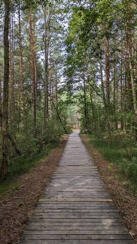 Waterfront in peaceful Bulli gallery image 3