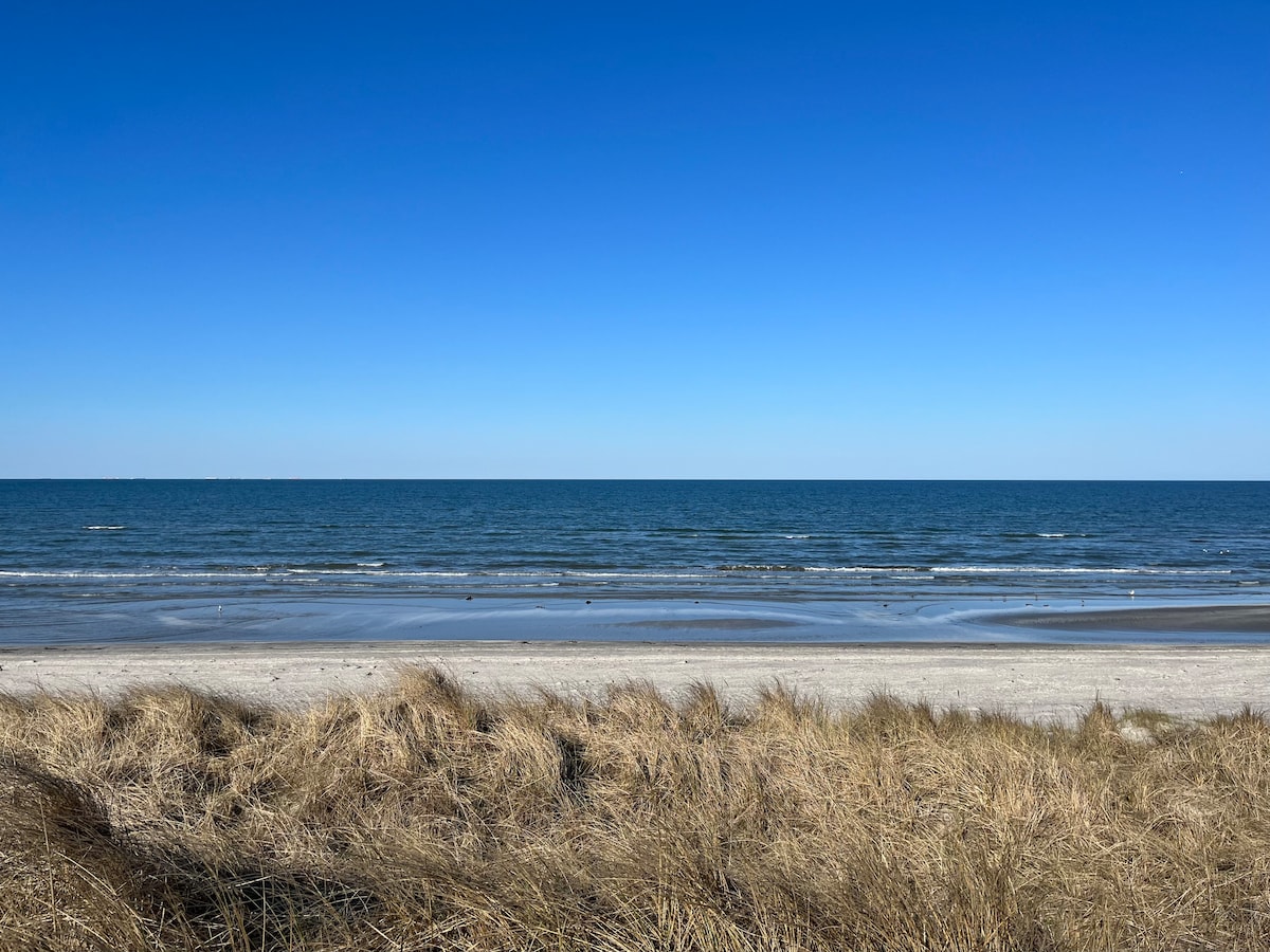 A serene beach scene features soft sands meeting gentle waves under an expansive blue sky. Dune grass sways peacefully in the foreground, creating a natural border along the shoreline. The calm sea extends into the horizon, providing a sense of openness and tranquility.