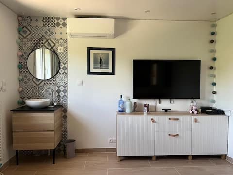 Propriété Airbnb réussie: Cozy studio with private terrace à Colomiers