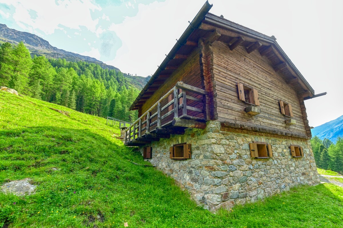 The chalet presents a traditional wooden structure with a stone base, nestled amidst lush greenery. A balcony extends from the upper level, featuring wooden railings. Surrounding trees and mountains create a serene alpine environment, enhancing the natural beauty of the setting.