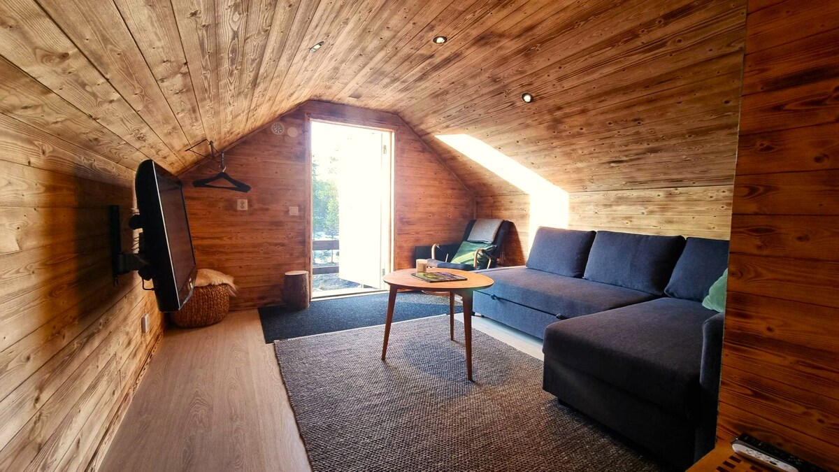 An open living area is highlighted by wooden walls and ceiling, evoking a natural ambiance. A cozy pull-out couch is complemented by a small round table. Light enters through the door leading to a private terrace, enhancing the space's warmth.