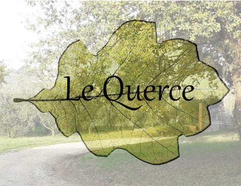 Le Querce, app. Salvia