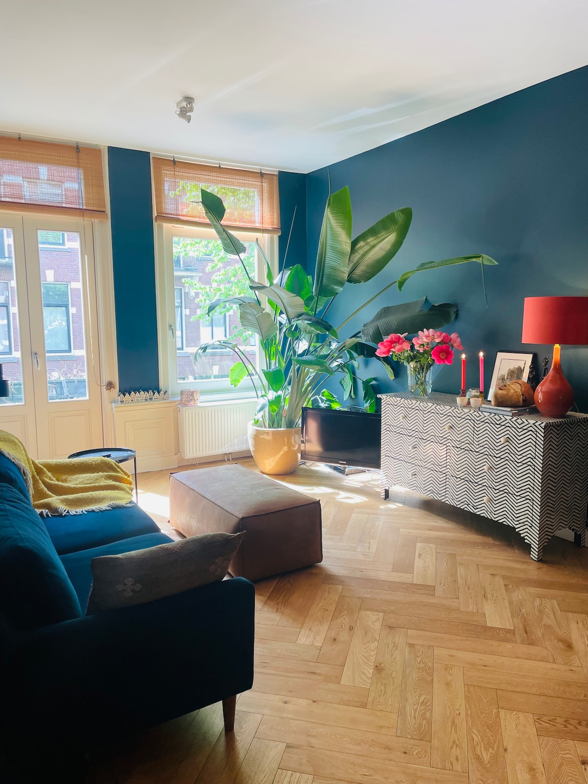 Top Airbnb: Cosy apartment in trendy area! in Sarphatiparkbuurt