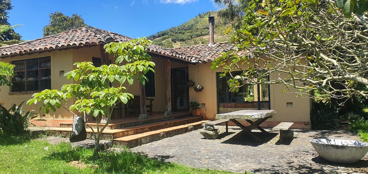 A charming countryside house is surrounded by lush greenery, featuring a tiled roof and a stone patio. A large wooden table sits outside, accompanied by a low stone basin. Windows allow natural light to illuminate the interiors, while trees add to the serene outdoor atmosphere.