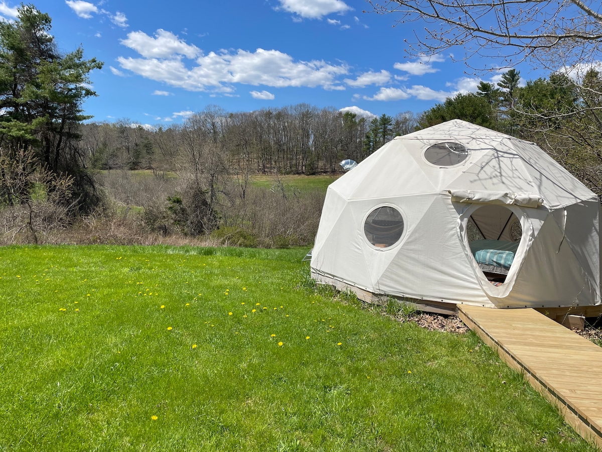 A geodesic dome is nestled in a lush green meadow, surrounded by trees and open fields. The structure features several circular windows, allowing natural light to enter. A wooden walkway leads to the entrance, enhancing accessibility.