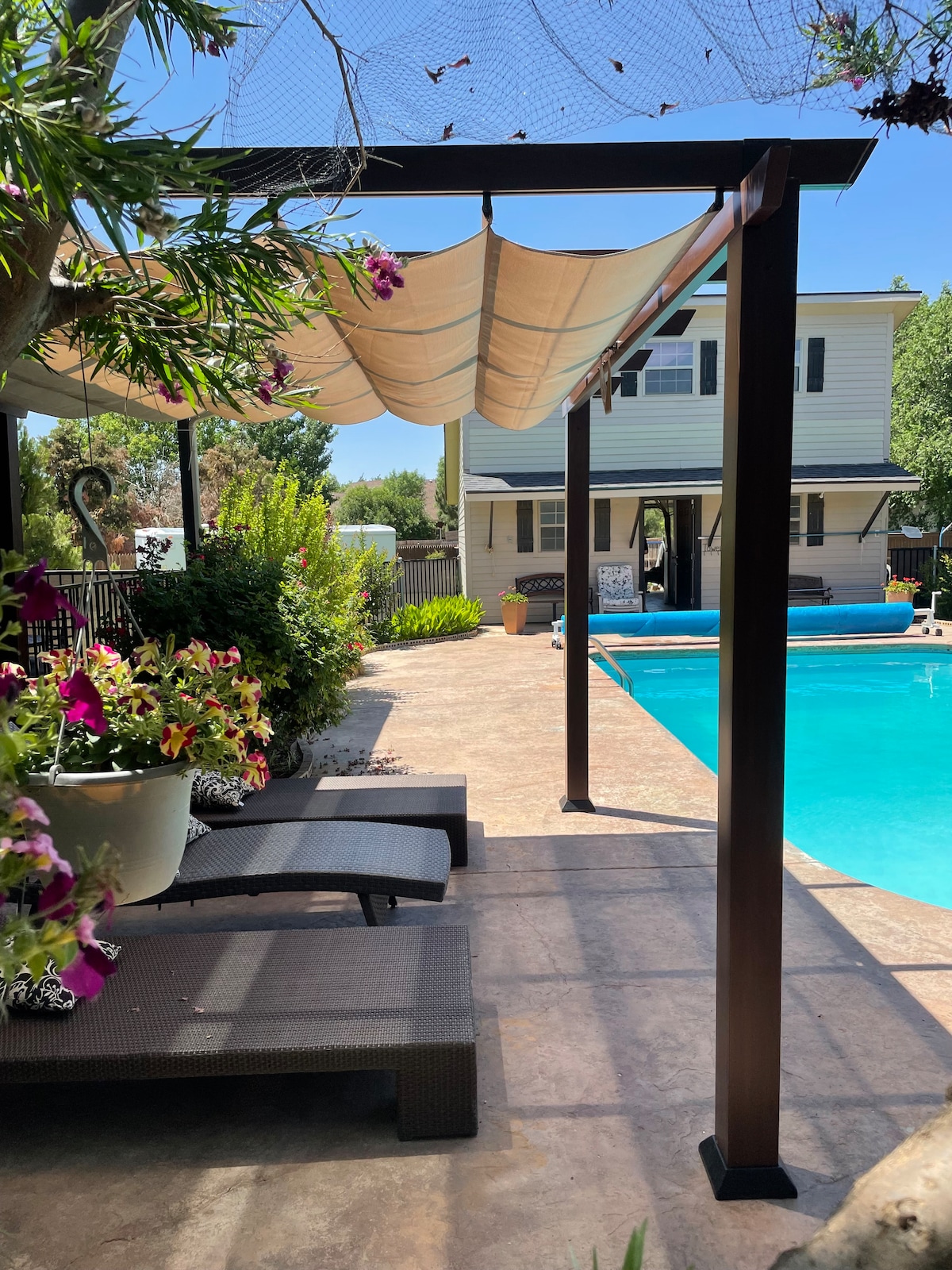 An outdoor area features a private swimming pool surrounded by a smooth concrete deck. Comfortable lounge chairs are positioned nearby, shaded by a canopy with decorative fabric. Colorful plants add a touch of greenery to the space, enhancing the tranquil atmosphere.