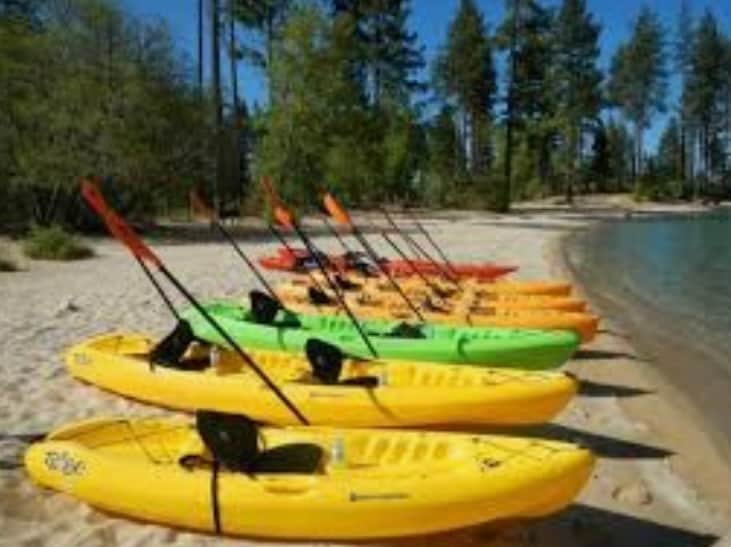 A lineup of colorful kayaks rests on a sandy beach, surrounded by tall trees. The kayaks are predominantly yellow, with a few in vibrant green and red, showcasing their paddles resting upright. The clear blue water is visible in the background, enhancing the inviting atmosphere.