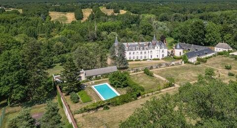 Castle in the Loire Valley
