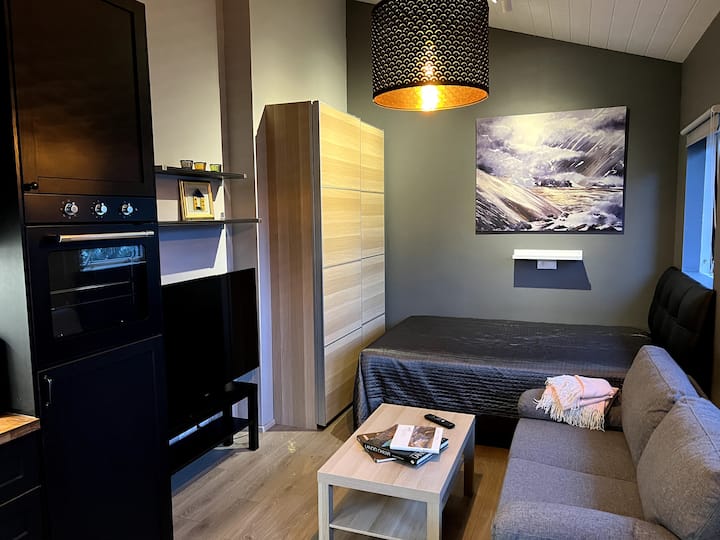 Cozy studio apartment, Reykjavík Apartments for Rent in Reykjavík