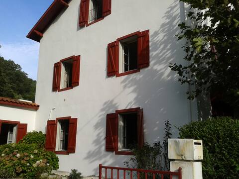 Large independent house in the Basque Country