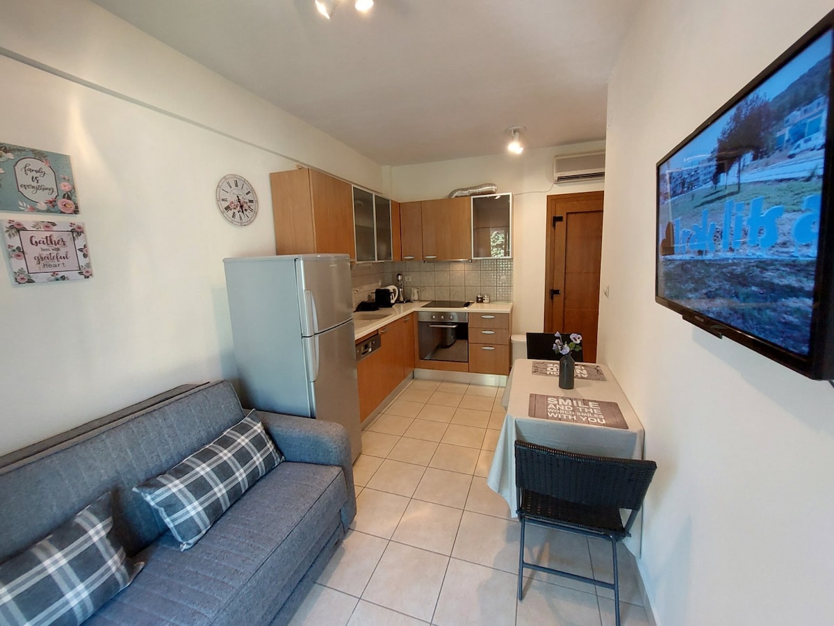 A compact kitchen area is visible, featuring essential appliances including a refrigerator and stove. A comfortable sofa in neutral tones is placed opposite a small dining table with two chairs. Light-colored tiles enhance the space, while a television is mounted on the wall.