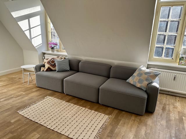 Inner city Copenhagen Latin Quarter