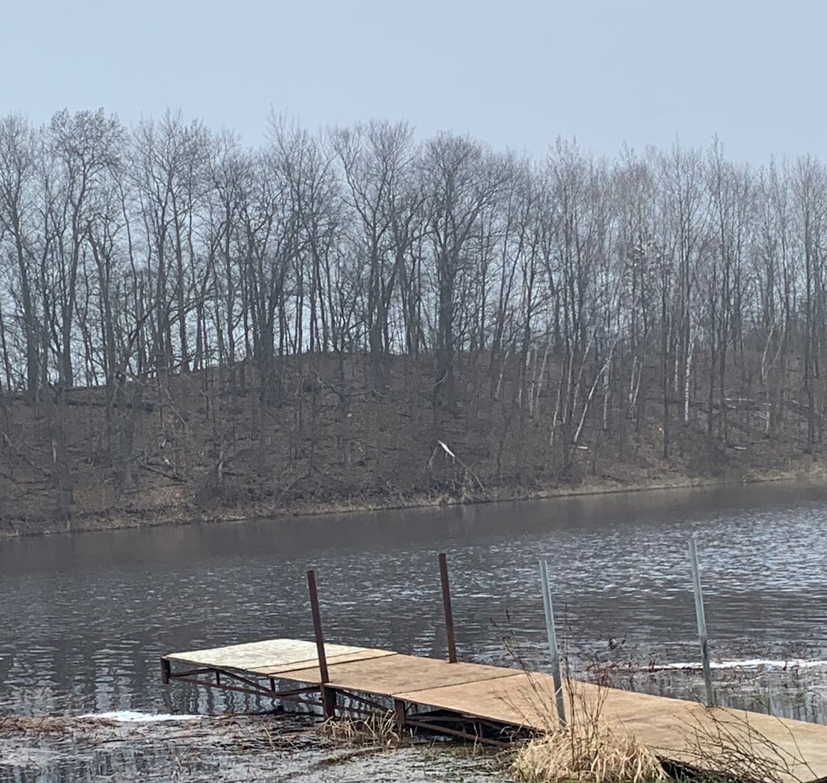 A wooden dock extends over calm waters, providing direct access to the lake. In the background, a line of bare trees creates a natural border along the shoreline, reflecting the tranquil and secluded atmosphere of the area.