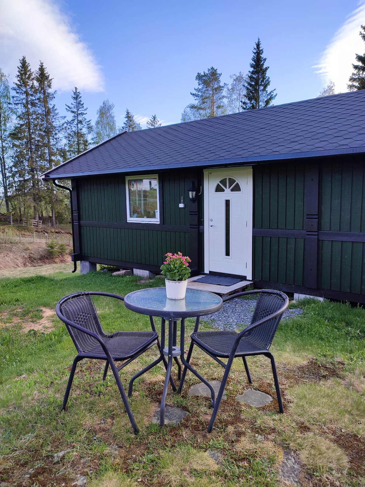 An exterior view of the summer house is presented, highlighting a green wooden facade. A small outdoor seating area features a glass-top table accompanied by two black woven chairs. A potted plant adds a touch of greenery to the scene, set against a backdrop of trees.