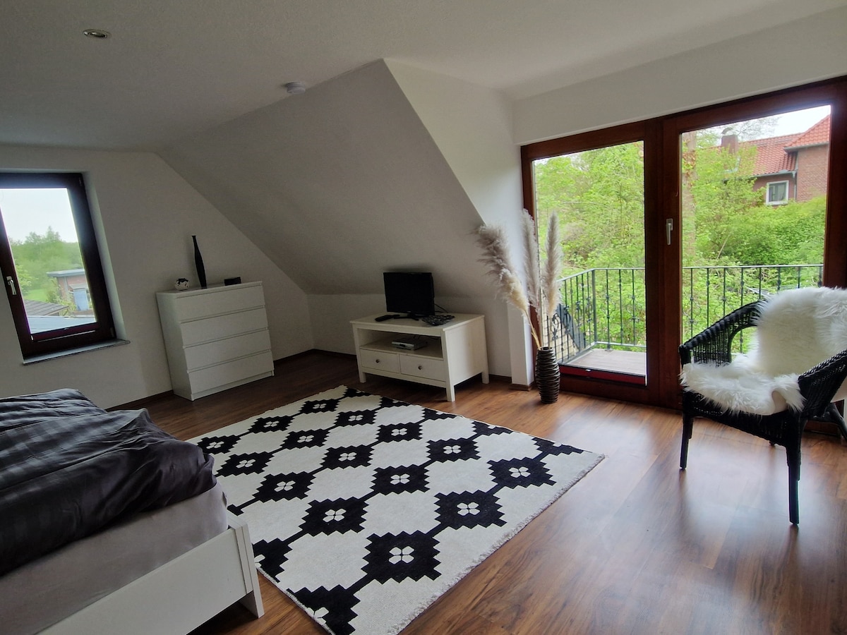Modern apartment with roof terrace