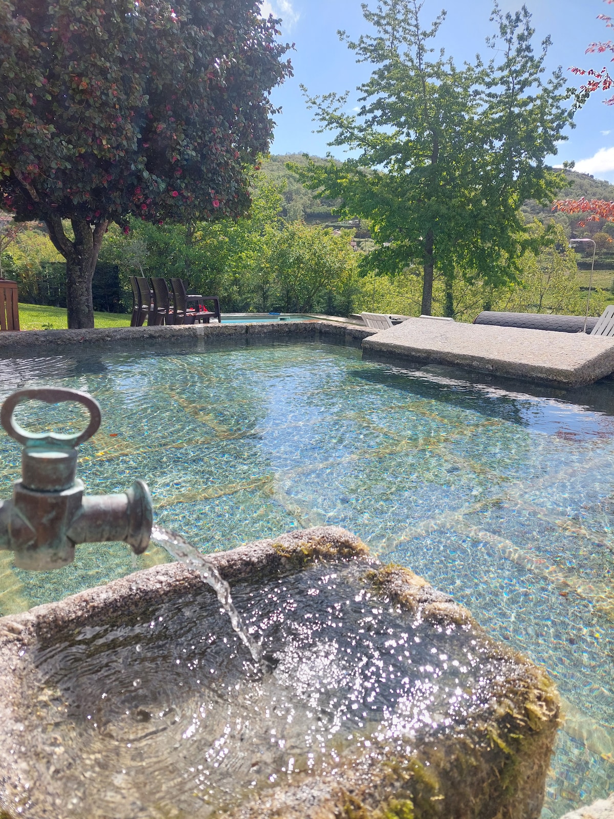 A tranquil pool is surrounded by greenery, with a stone fountain gently flowing water into the clear water. Lounge chairs rest nearby under the shade of trees, providing a serene outdoor space for relaxation.
