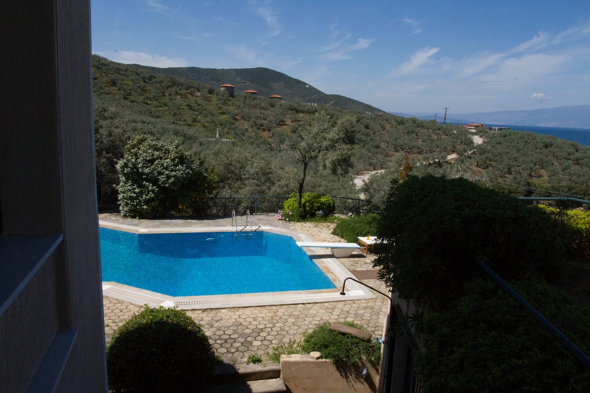 A tranquil outdoor area features a clear swimming pool surrounded by stone paving and lush greenery. Olive trees dot the landscape, complemented by distant hills under a clear blue sky, creating a serene backdrop for relaxation.