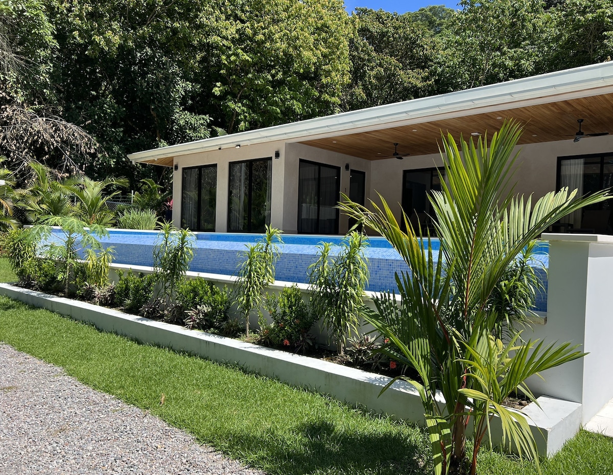 A modern villa showcases a tranquil infinity pool, surrounded by lush greenery. The pool's blue water reflects the sky, while potted plants line the edge. Large windows allow for natural light, set against a backdrop of dense jungle foliage.