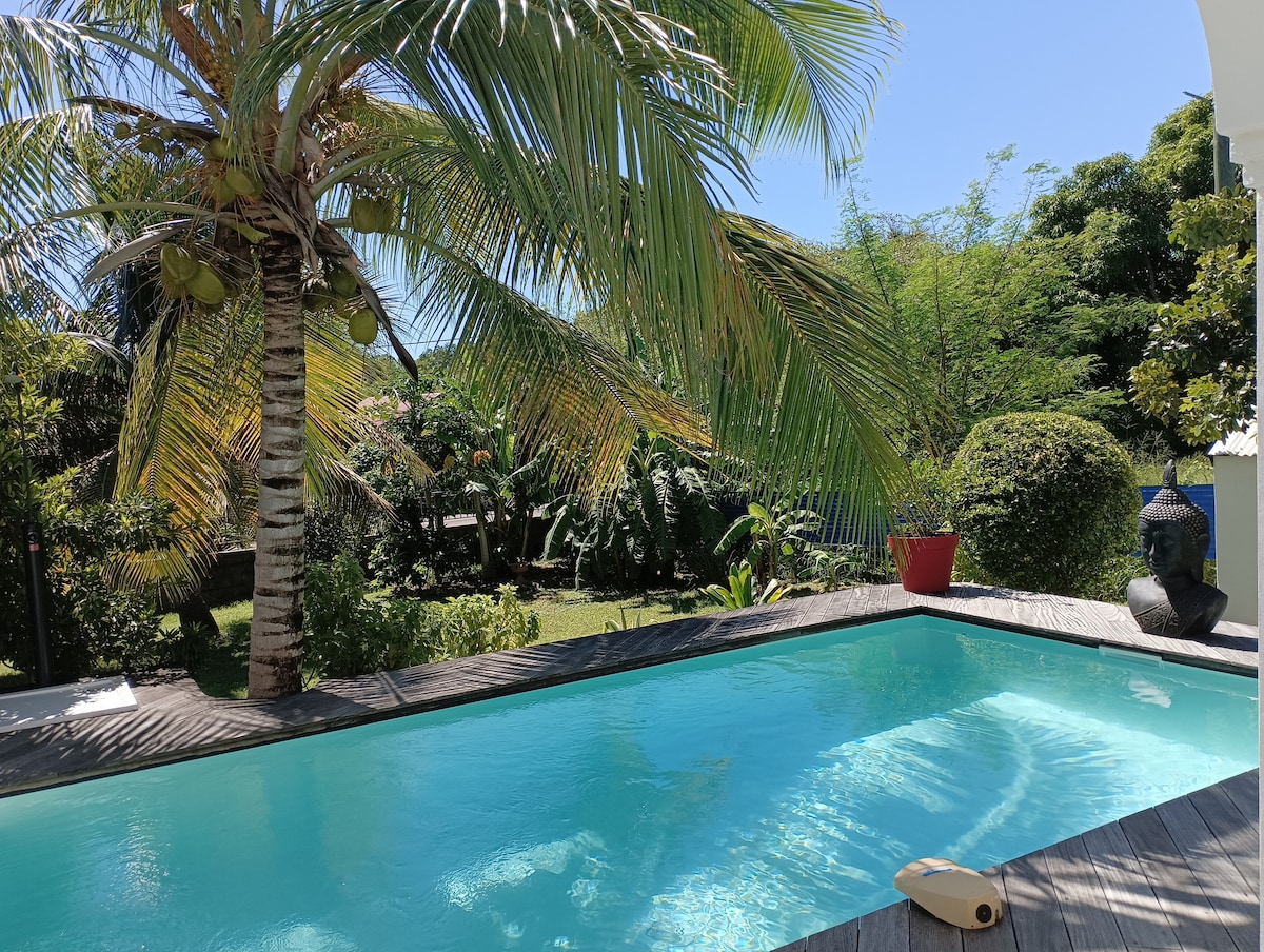 A serene pool area is framed by lush greenery and palm trees. Clear blue water reflects the sky, while wooden decking surrounds the pool. A red planter adds a touch of color, contributing to the tranquil outdoor setting shaded by tropical foliage.