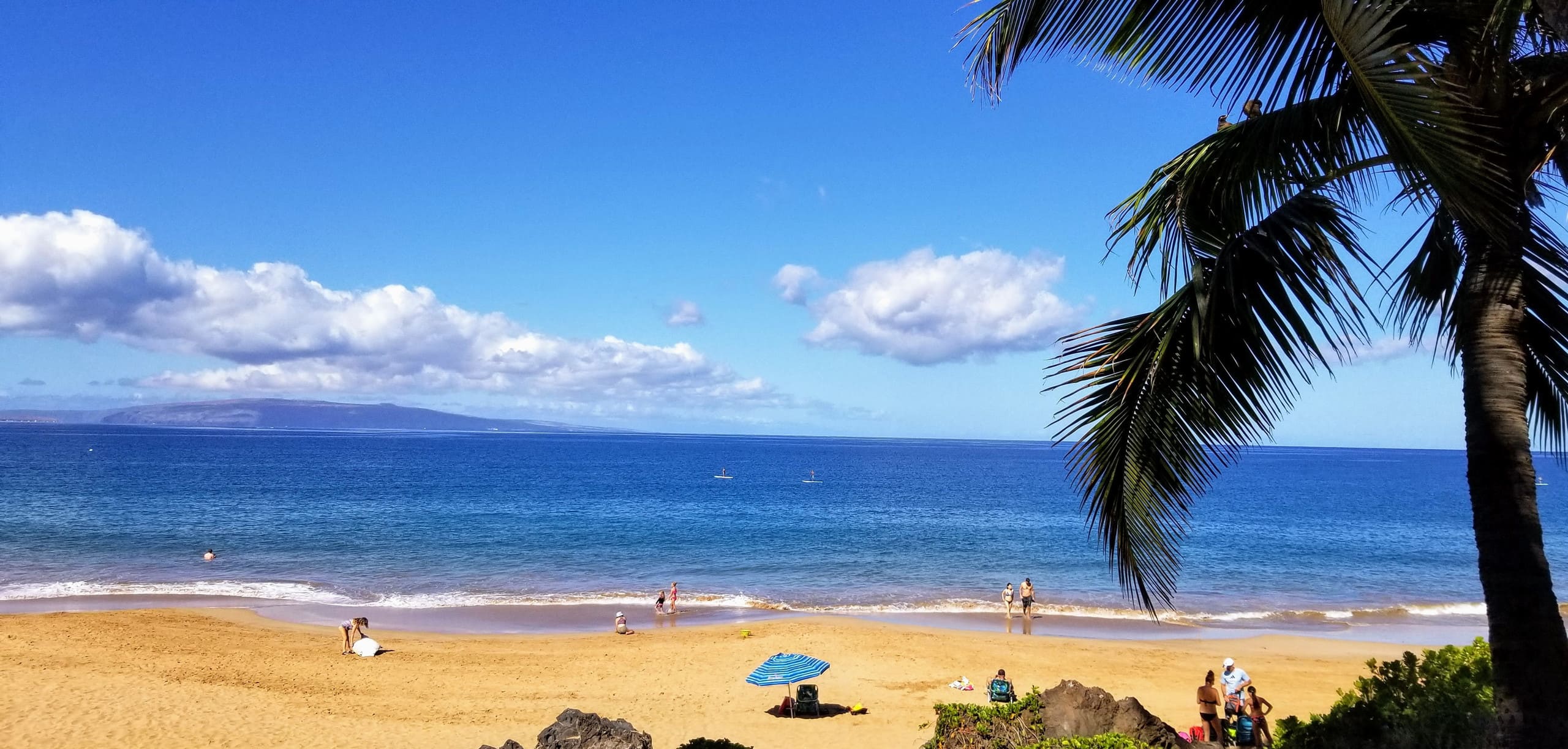 Condo in Kihei · ★4.91 · 2 bedrooms · 4 beds · 2 private baths - Image 30