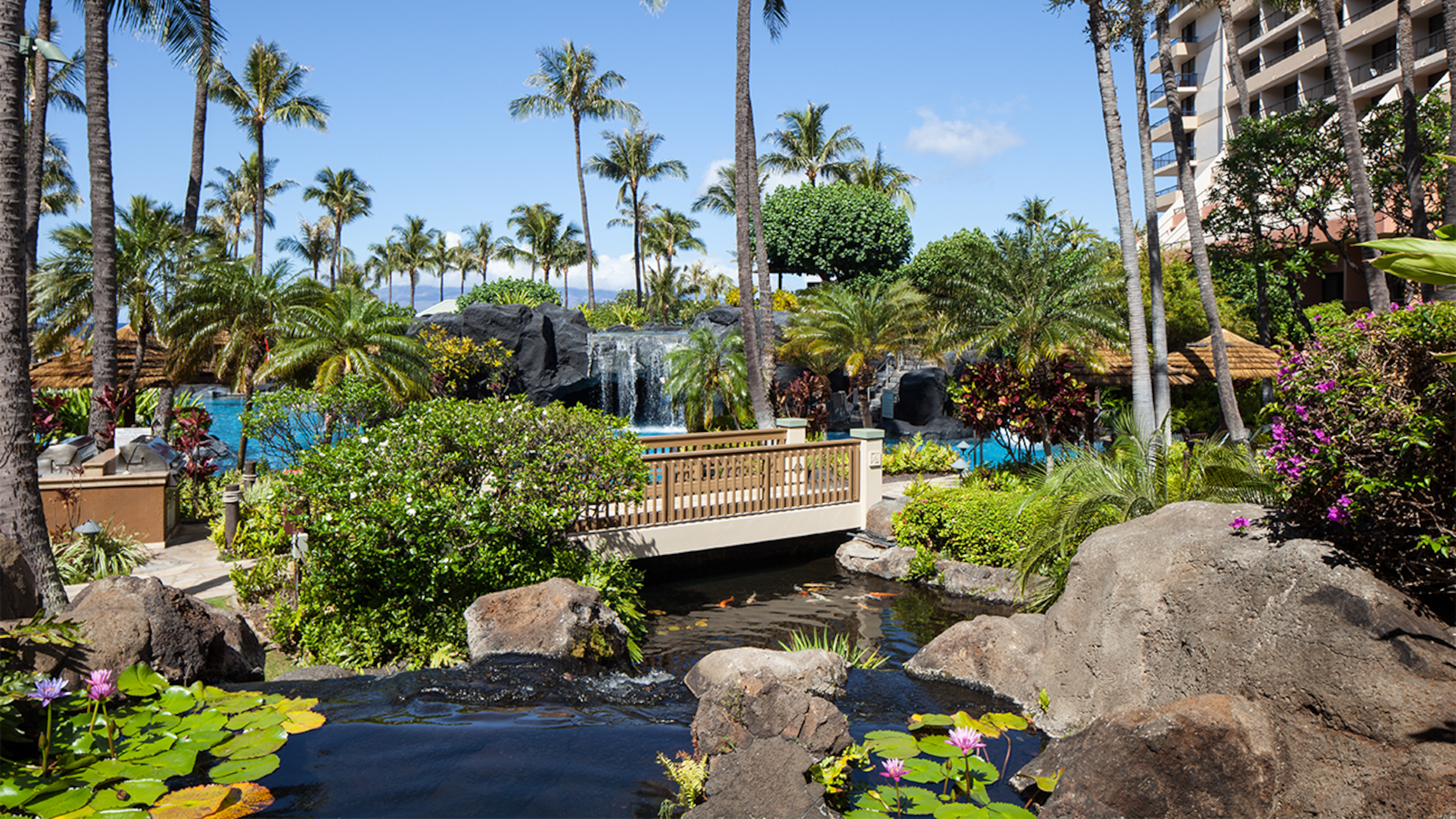 2BR unit at 1st class Marriott Maui resort - Photo 7
