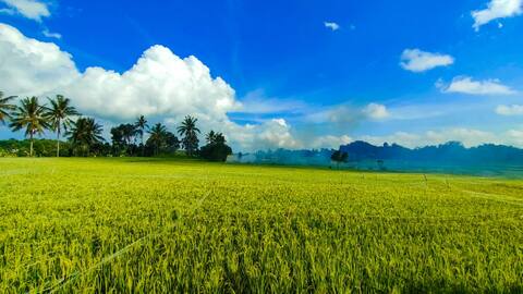 Villa Matahari, 2BR Cental Lombok