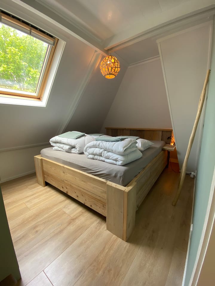 Habitación 1