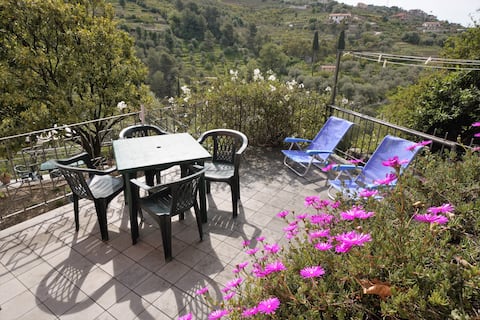 Menta by Ligurian Life Agriturismo U Ciousu