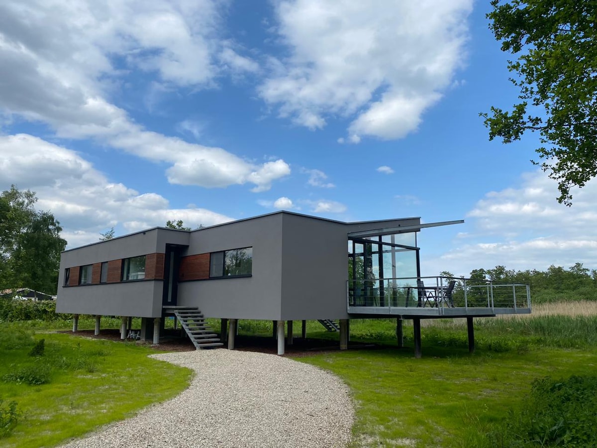 The modern villa is positioned on stilts, featuring a sleek exterior with large windows that invite natural light. A gravel pathway leads to the entrance, surrounded by lush green grass and trees, while a balcony provides outdoor seating, offering serene views of the landscape.