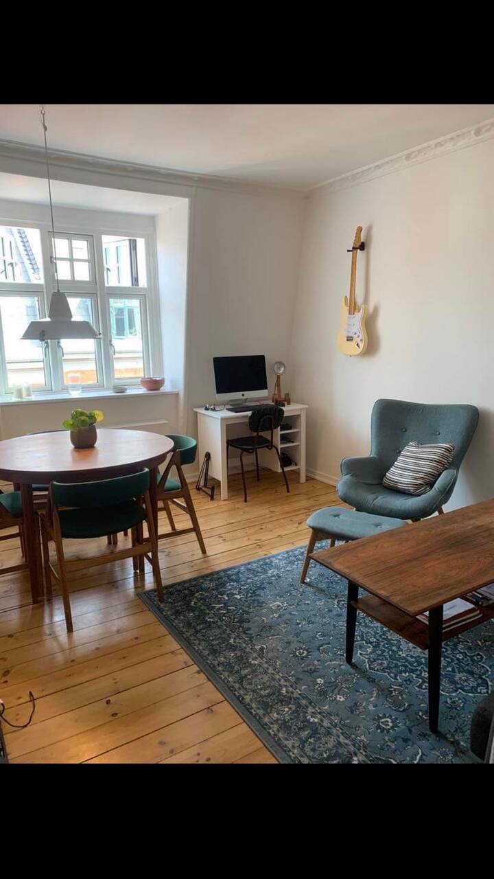 Cozy twig apartment! Apartments for Rent in Copenhagen, Denmark Airbnb