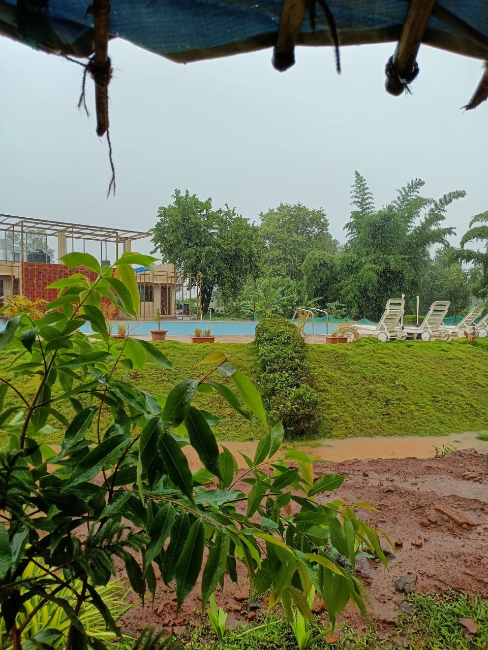 A view of the pool area is framed by lush greenery and trees. Loungers are arranged around the pool, which is set against a backdrop of gentle hills. The scene is enhanced by a cloudy sky, suggesting a serene and refreshing atmosphere.