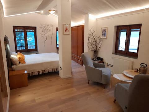 Lake panorama house with garden