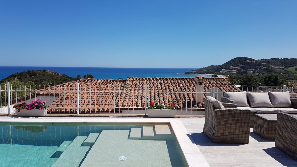 A spacious outdoor area features a private pool with steps leading into the water, surrounded by a comfortable seating arrangement. Colorful flowers are visible in planters along the edge, while a clear blue sky and ocean view create a serene backdrop.