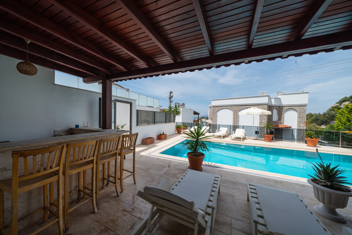 An outdoor terrace with a wooden bar and several high chairs overlooks a sparkling pool. Sunbeds are positioned around the pool, accompanied by potted plants. A parasol provides shade beside the water, enhancing the relaxation space.