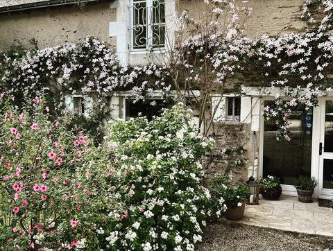 Charming cottage "Le petit Pressoir"