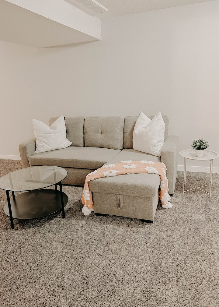 Basement living room