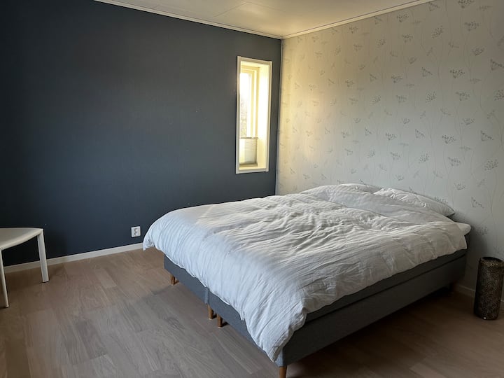 Habitación 1