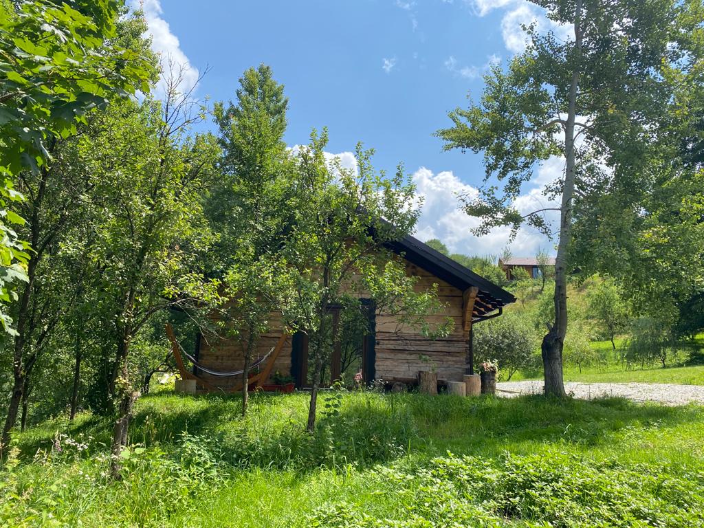 A rustic wooden cabin is nestled among lush greenery, surrounded by trees and grass. The design features a sloped roof and dark shutters, contributing to a harmonious blend with nature. A hammock is visible, inviting relaxation in the outdoor space.