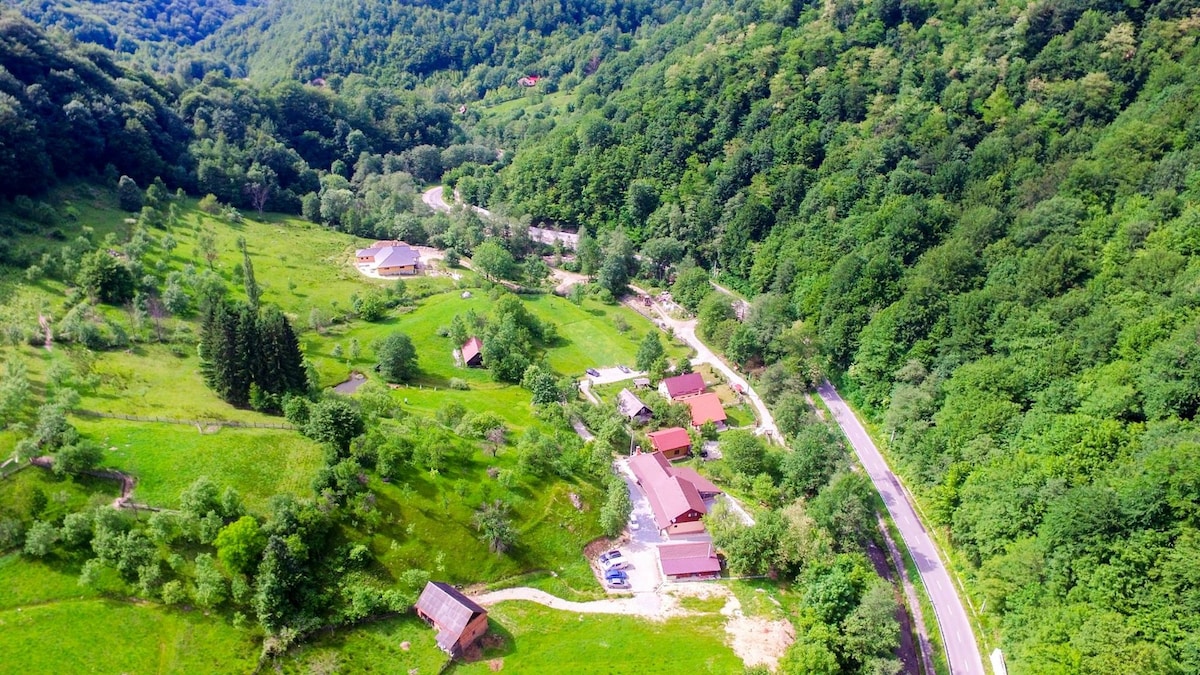 An aerial view captures the expansive green landscape surrounding the property, with lush trees and open fields. The rustic buildings, spread throughout the area, complement the natural setting. A winding road leads through the scene, connecting the various structures amid the serene environment.
