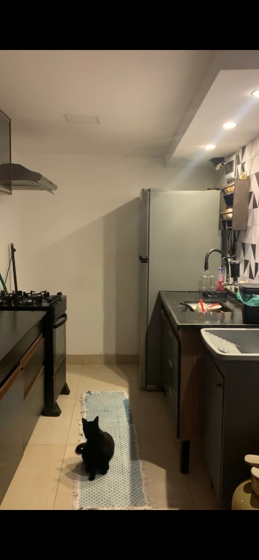 The kitchen is equipped with dark cabinetry and a modern gas stove. A sleek silver refrigerator is positioned against the wall. A black cat sits on a patterned runner on the floor, adding a touch of warmth to the space with patterned tile backsplash.