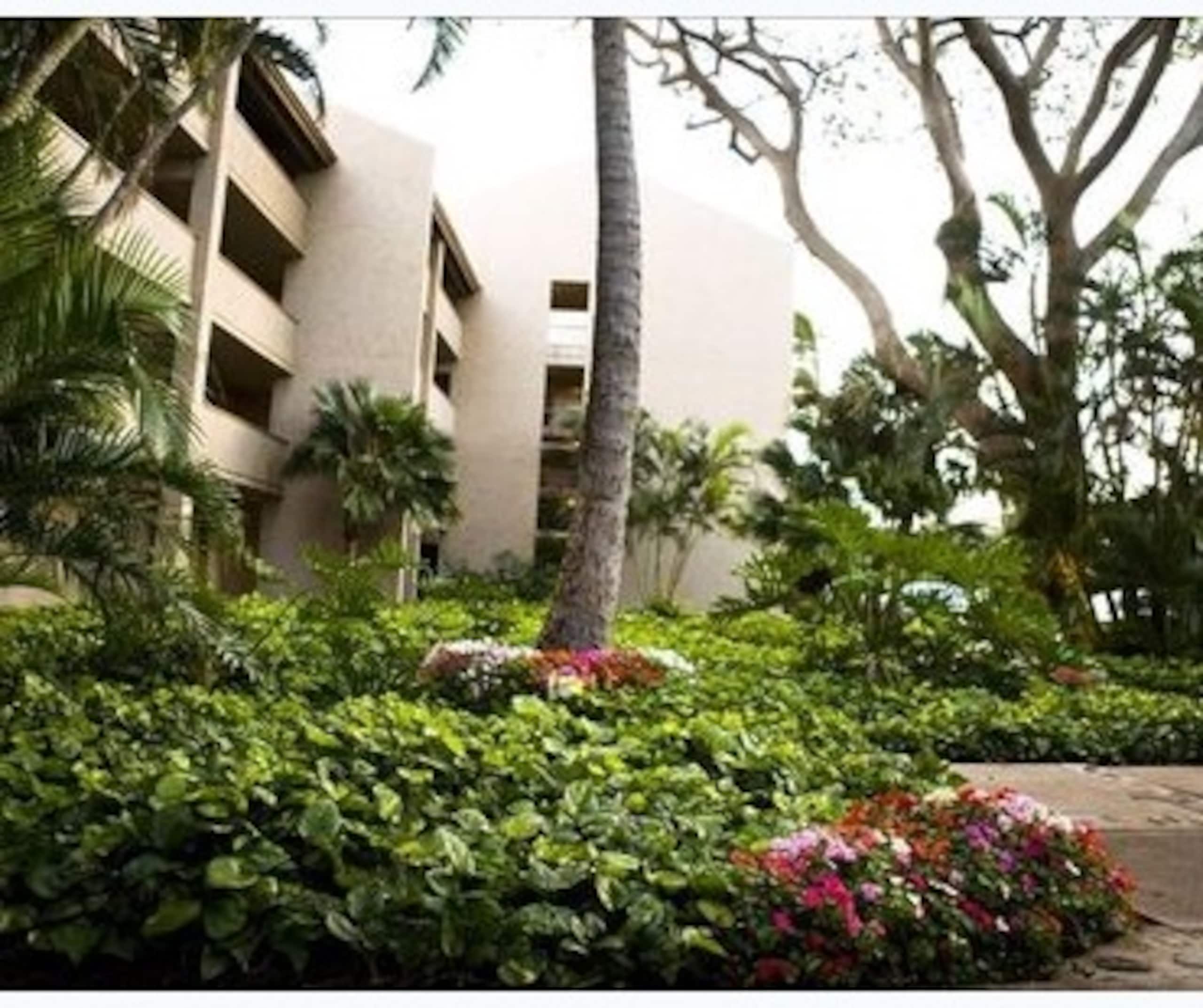 Condo in Wailuku · ★4.82 · 2 bedrooms · 3 beds · 2 baths - Image 23
