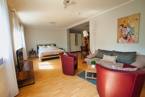 Friendly apartment (45 square meters) in a quiet location