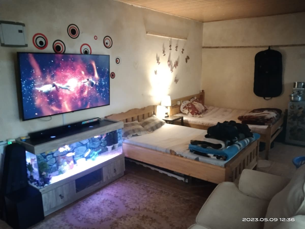 A cozy seating area features a light-colored couch and a wooden TV stand with an aquarium. A large screen displays vibrant colors. Two wooden beds, equipped with neutral-colored bedding, are positioned against the wall, contributing to a warm and welcoming environment.