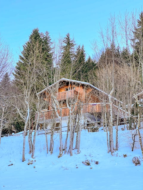 Chalet Mouflon – incredible view at the foot of the slopes