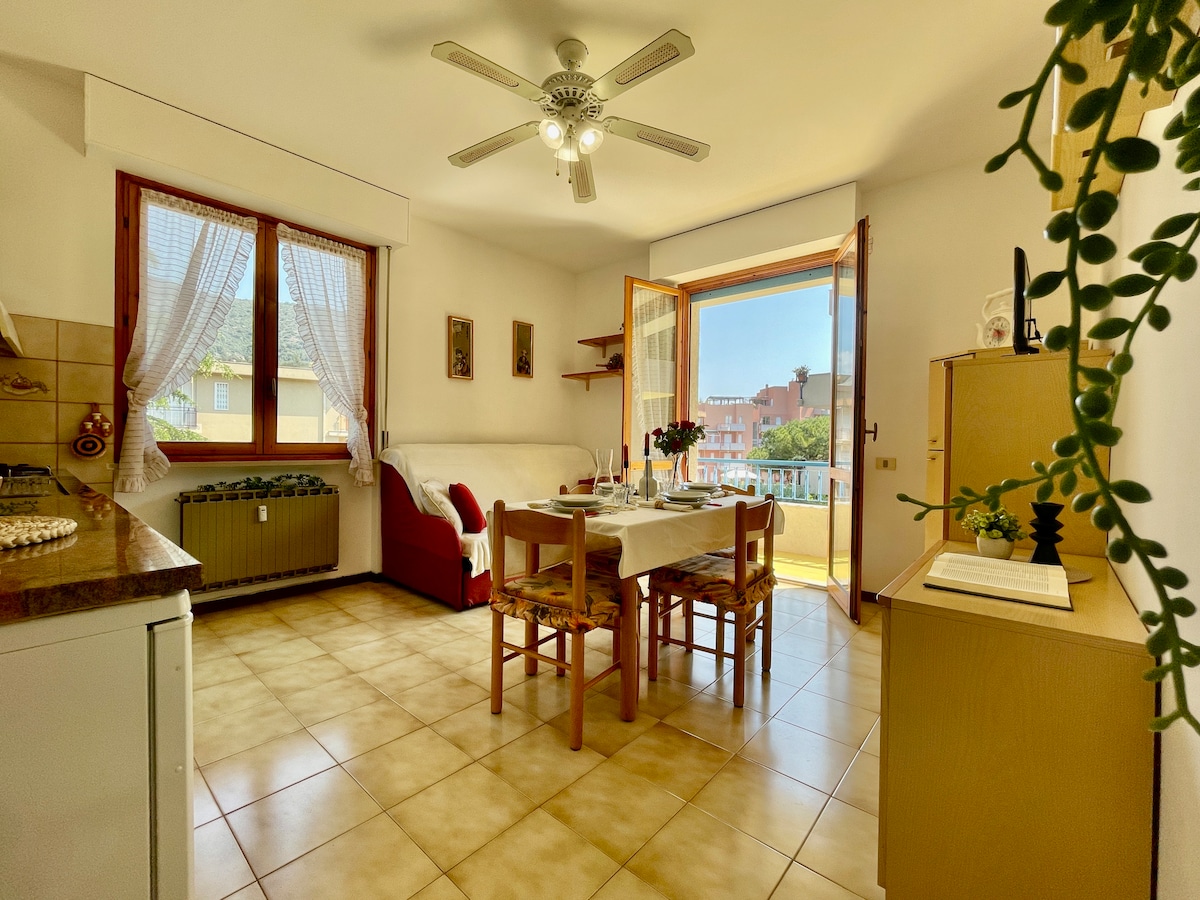 Erfolgreiche Airbnb-Immobilie: 2-room apartment 600 meters from the Sea in Ceriale