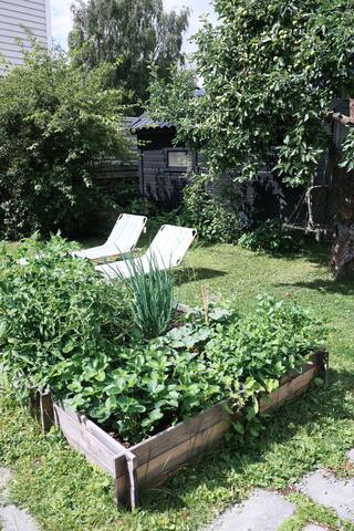 Bolig med stor og frodig hage gallery image 5